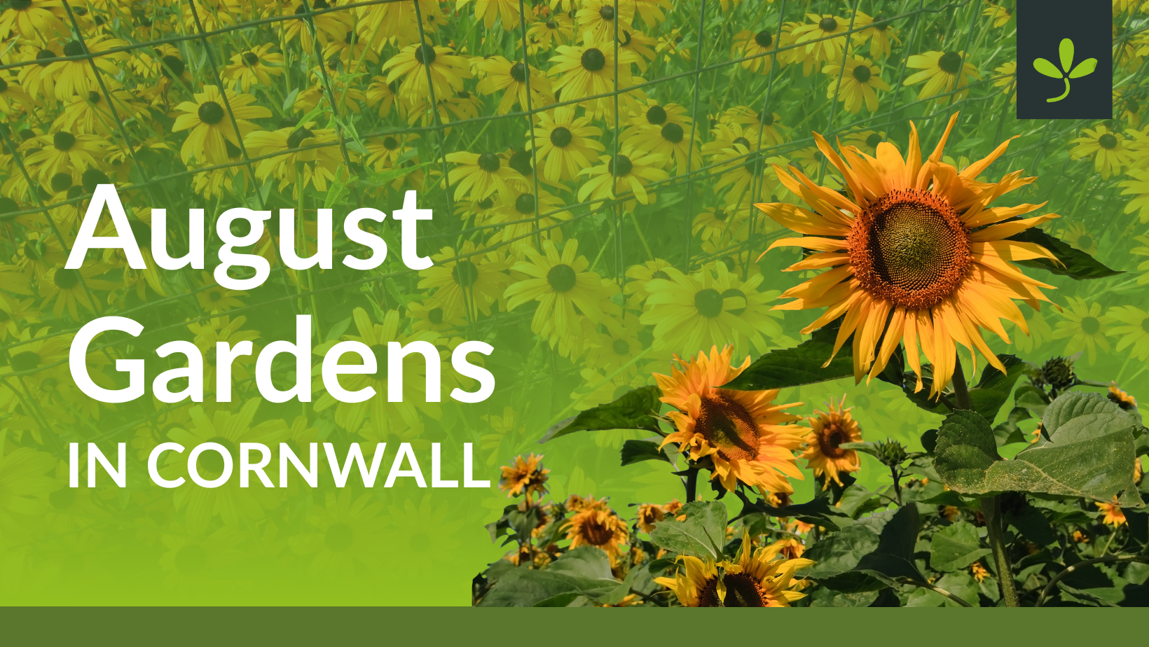 August in the Garden