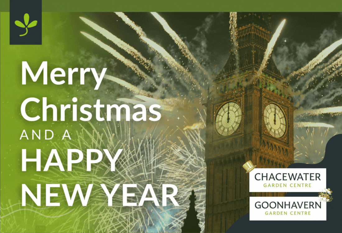 Book Your Christmas Lunch Now!