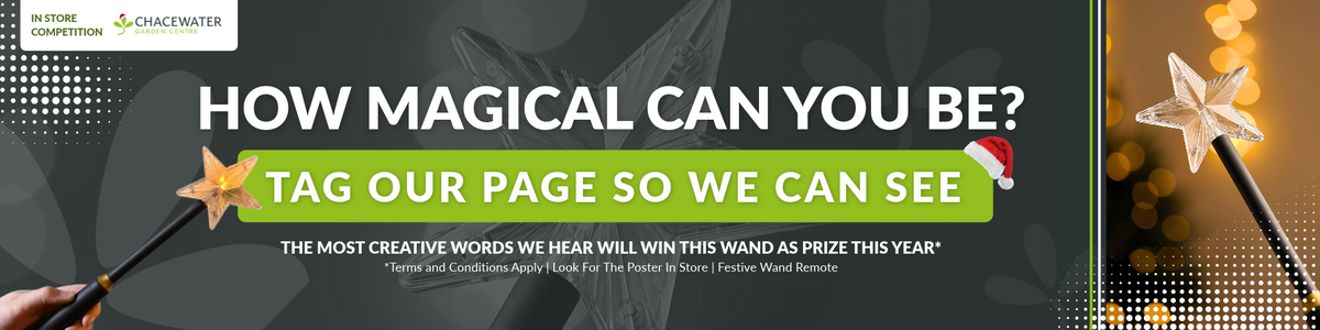 Our Festive Magic Wand Challenge 🎅
