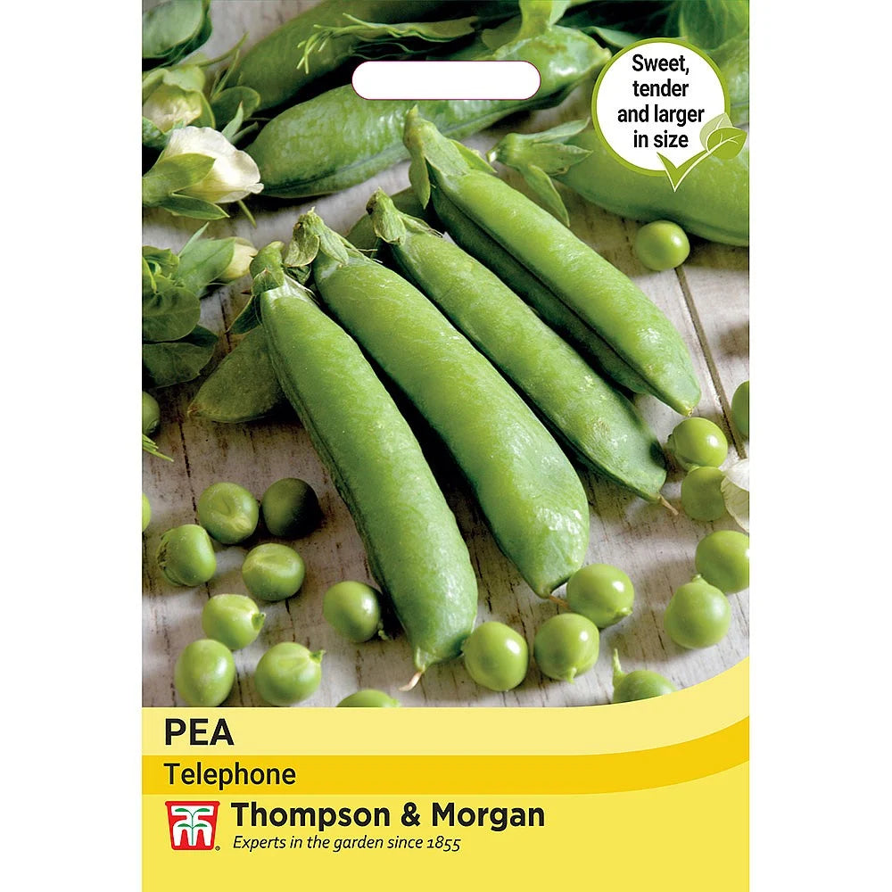 Pea Telephone