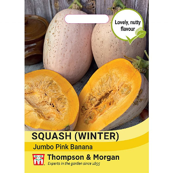 Squash Winter Jumbo Pink Banana