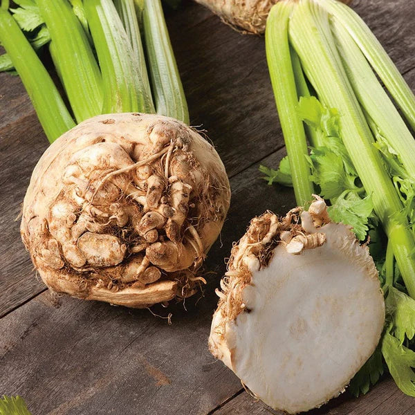 CELERIAC Neon F1