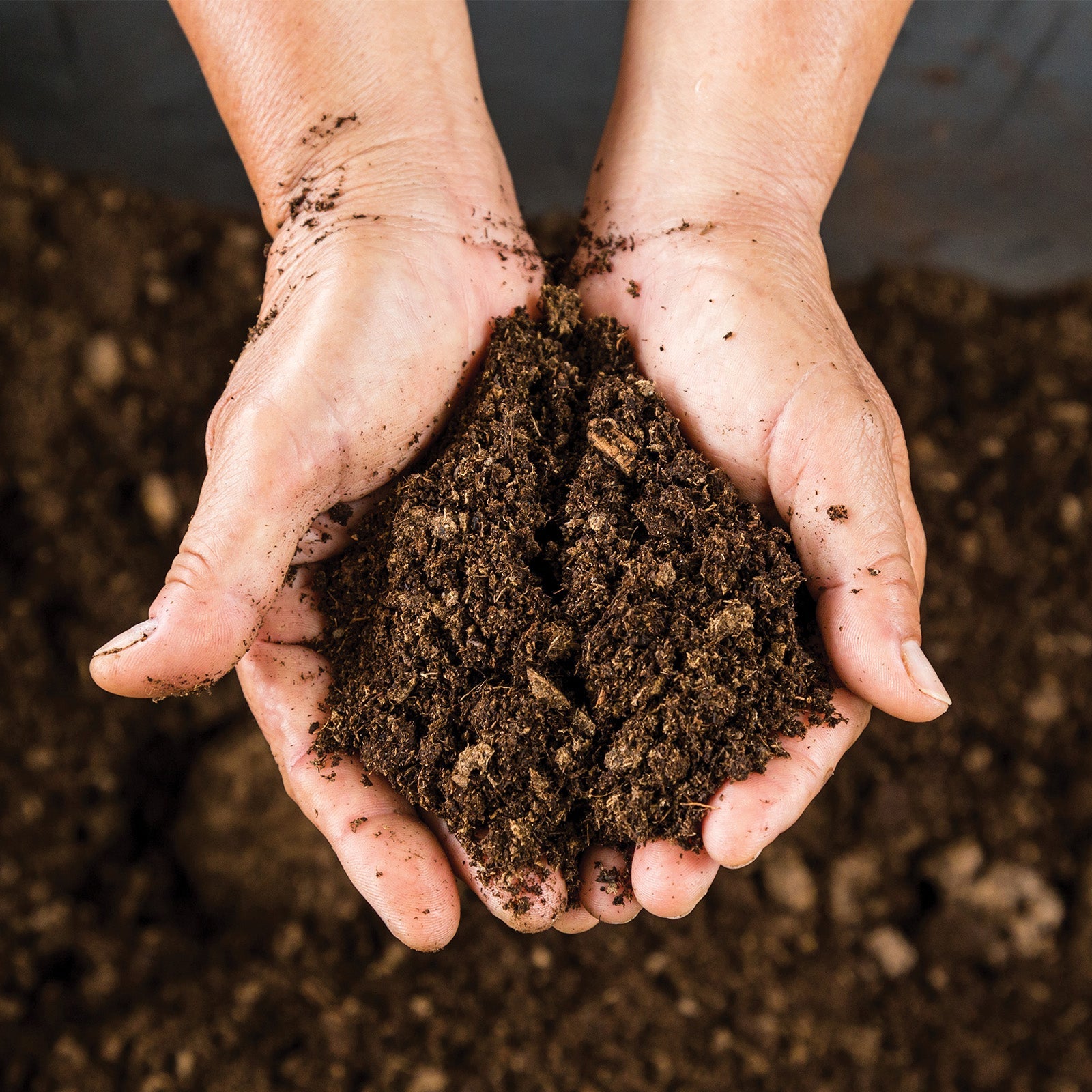 Horticultural Grit Sand SMALL