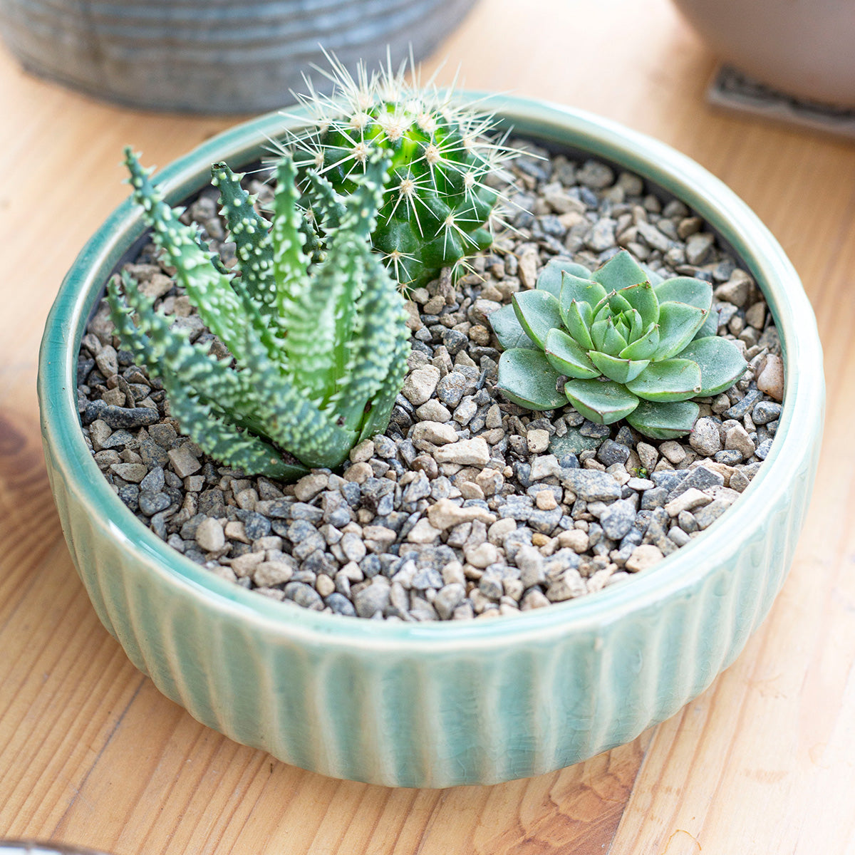 Horticultural Alpine Grit SMALL