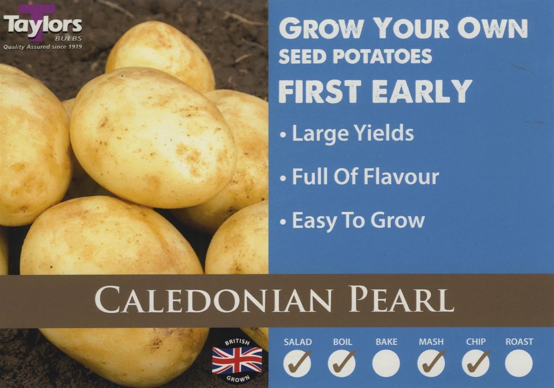 Caledonian Pearl 10 Potatoes