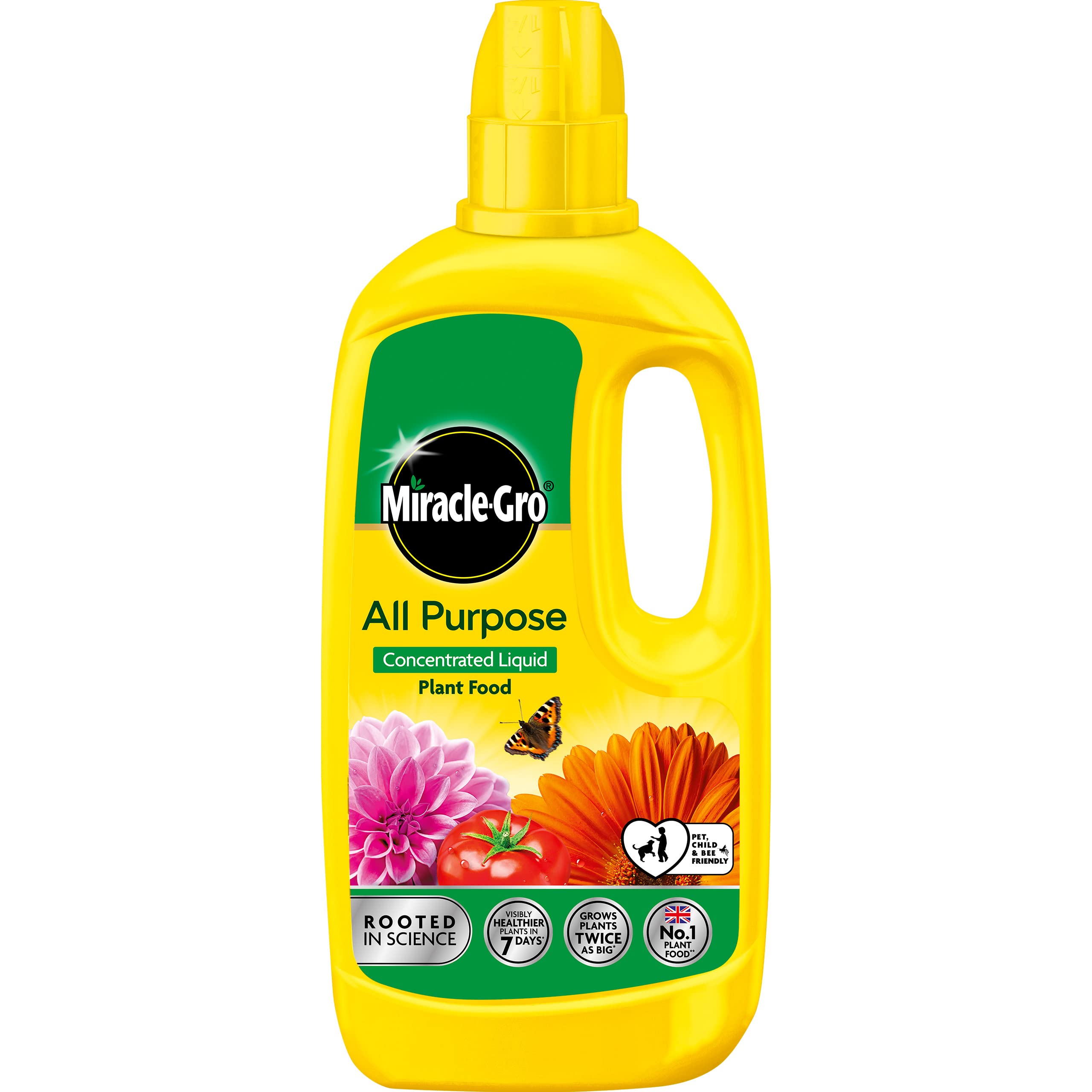 Miracle-Gro All Purpose Plant Feed Concentrate - 800ML