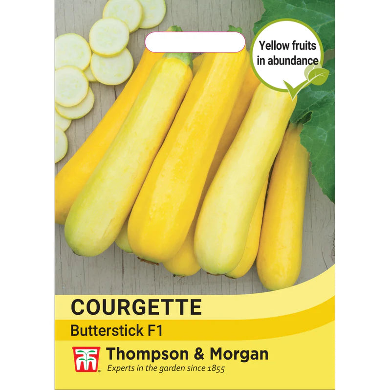 Courgette Cucurbita pepo Butterstick F1