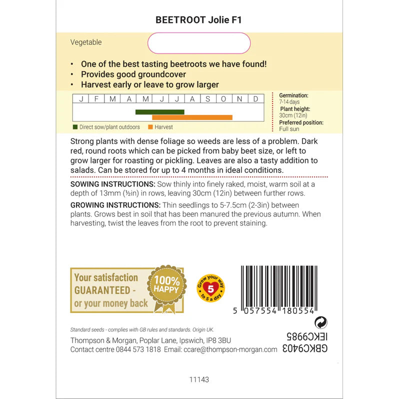 Beetroot Beta vulgaris Jolie F1