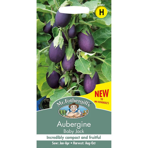 UK/FO-AUBERGINE Baby Jack