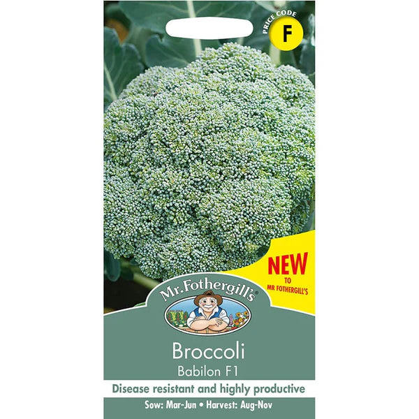 UK/FO-BROCCOLI Babilon F1