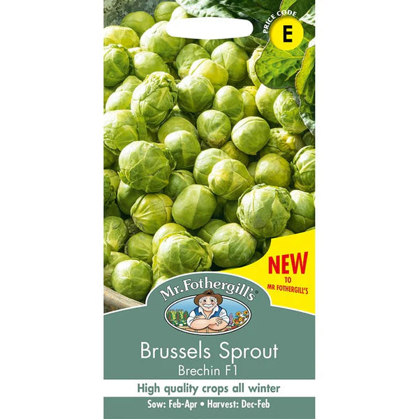 UK/FO-BRUSSELS SPROUT Brechin F1