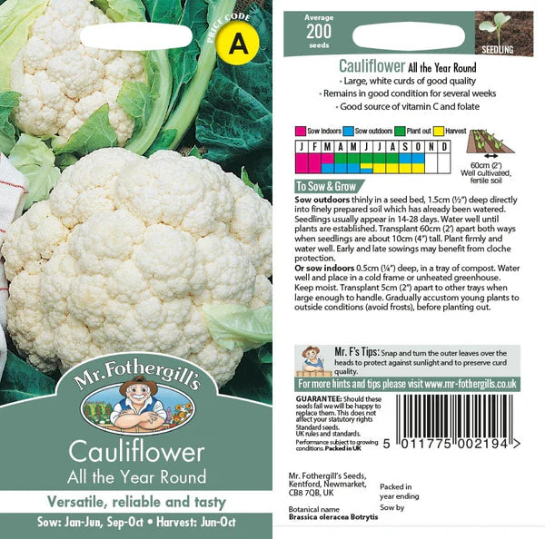 CAULIFLOWER