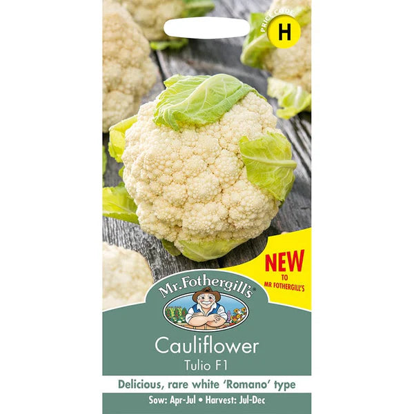 UK/FO-CAULIFLOWER Tulio F1