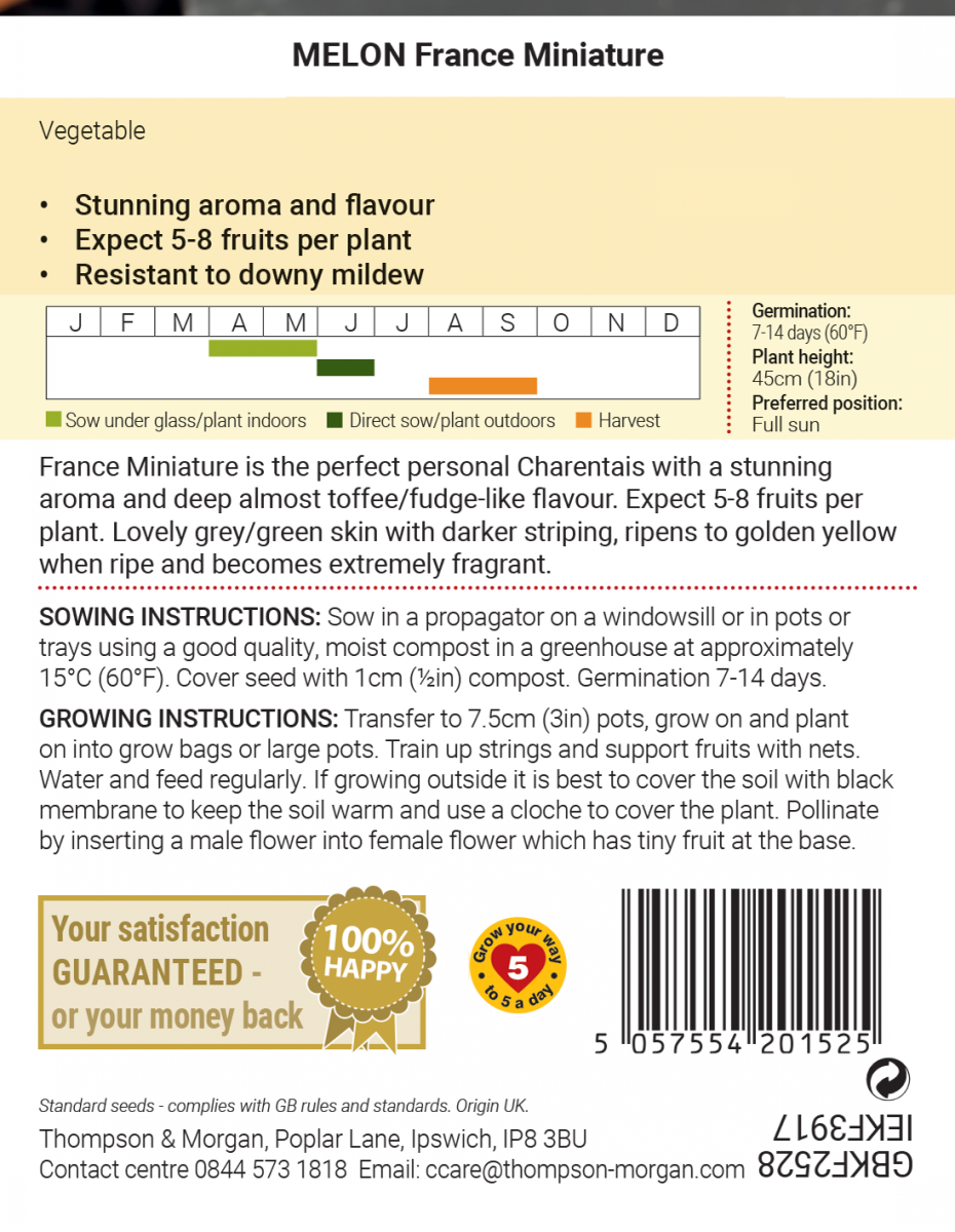 Melon France Minature