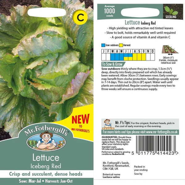 LETTUCE Iceberg Red