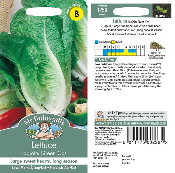 LETTUCE Cos