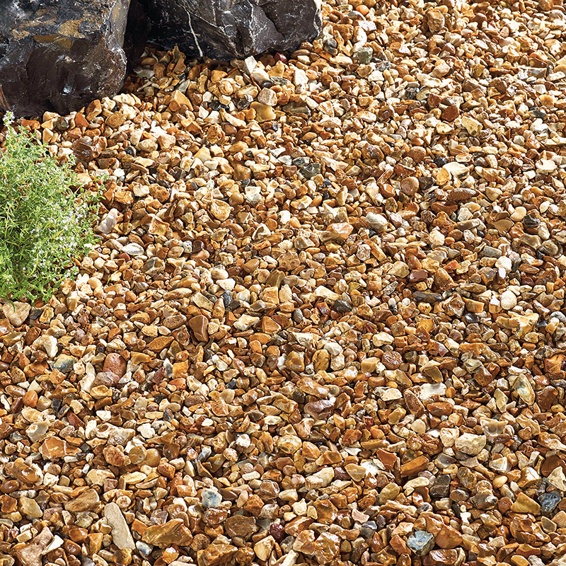 Golden Gravel | Cornwall Garden Shop | UK