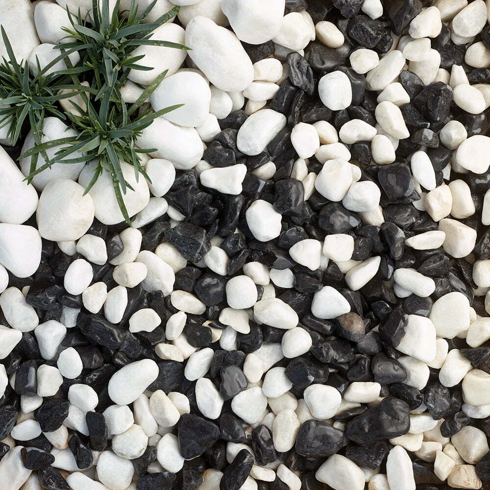 Panda Pebbles Bulk Bag