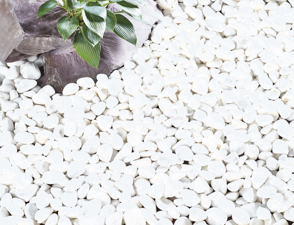 Coral White Pebbles Bulk Bag