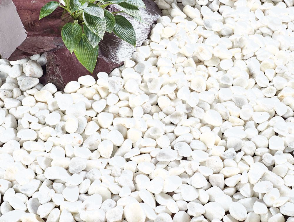 Coral White Pebbles Bulk Bag