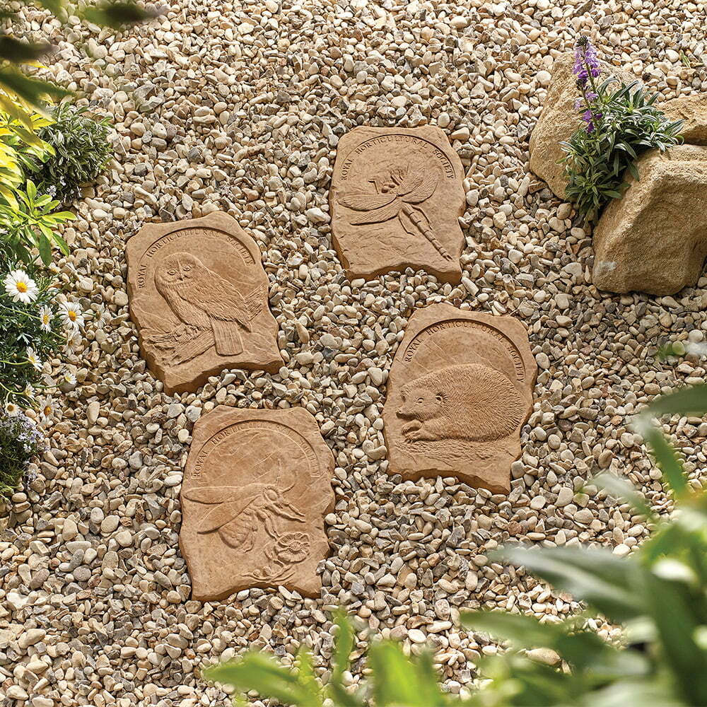 RHS Wildlife Stepping Stone