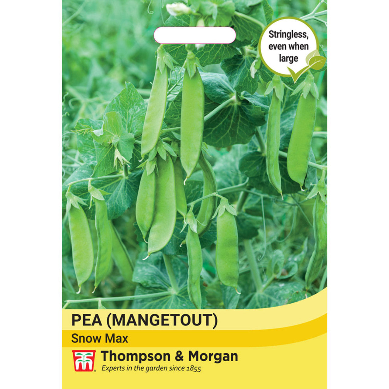 Pea (Mangetout) Snow Max