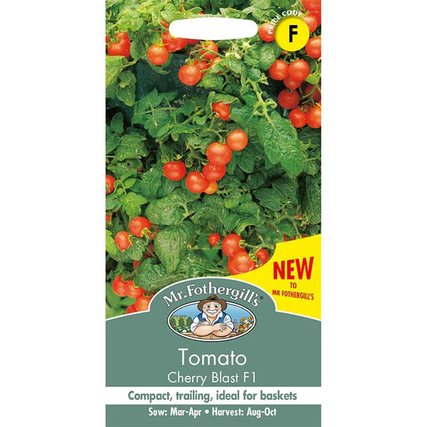 UK/FO-TOMATO Cherry Blast F1