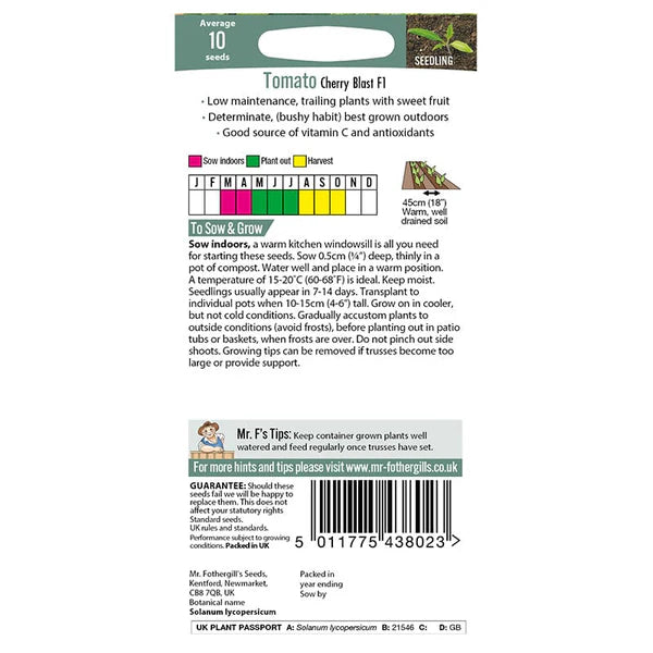 UK/FO-TOMATO Cherry Blast F1