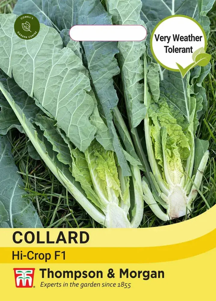Collard Hi-Crop F1