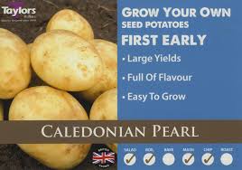POTATO CARRIPACK CALEDONIAN PEARL 2KG