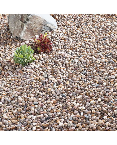 Quartzite Pea 10mm | Cornwall Garden Shop | UK