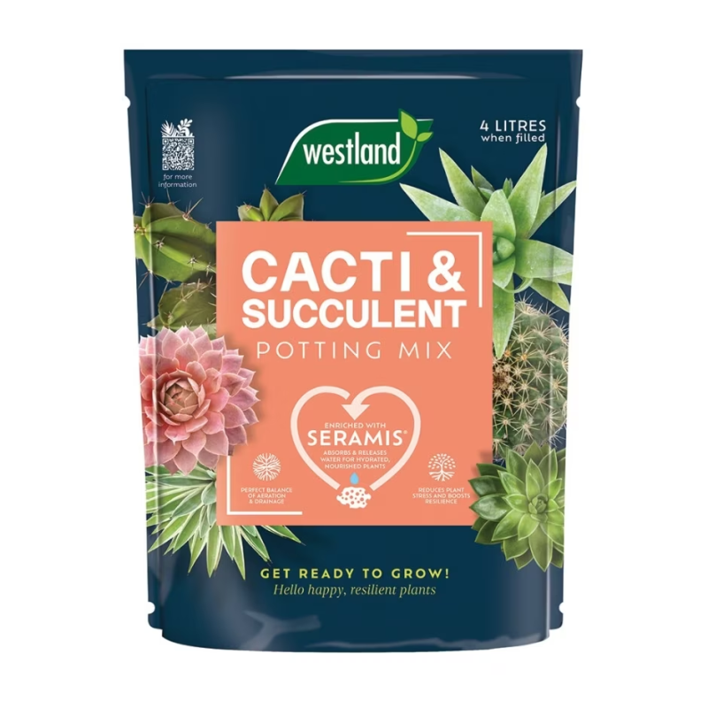 Westland Cacti & Succulent Potting Mix Peat Free 4L
