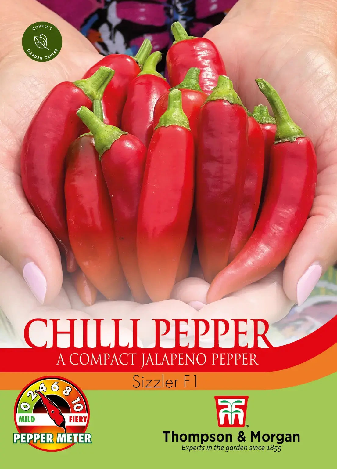 Chilli Pepper Sizzler F1