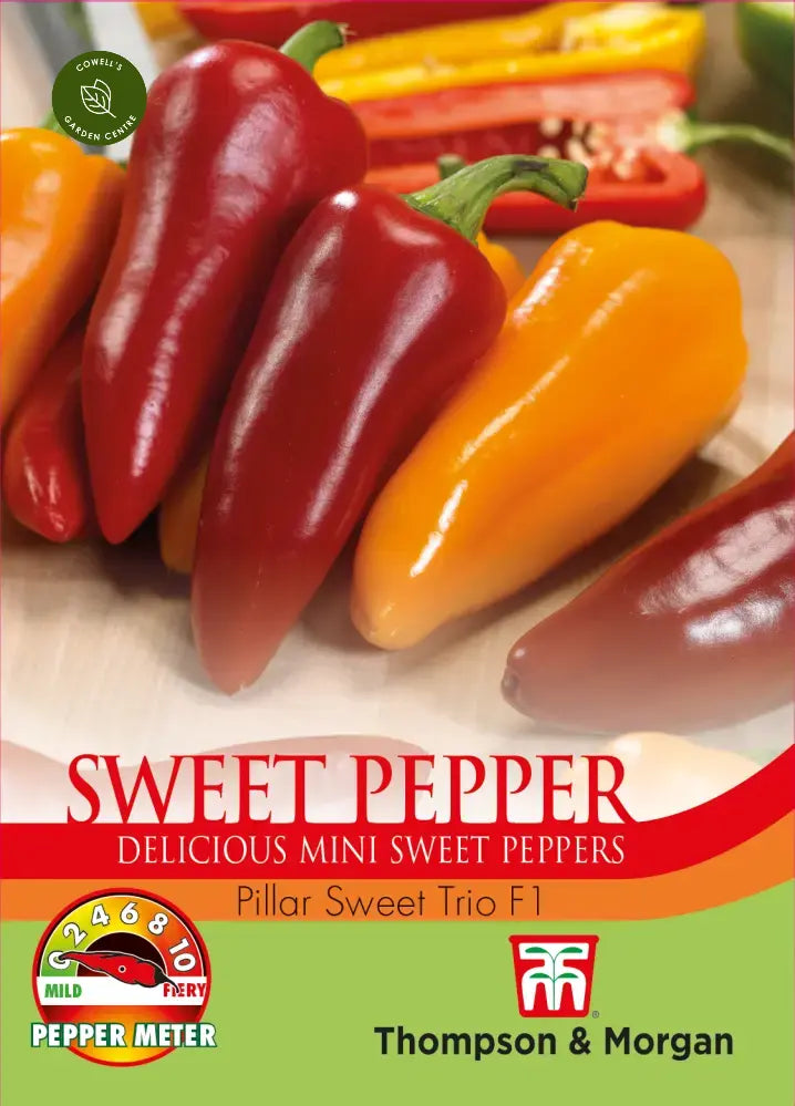 Pepper (Sweet) Pillar Sweet Trio F1