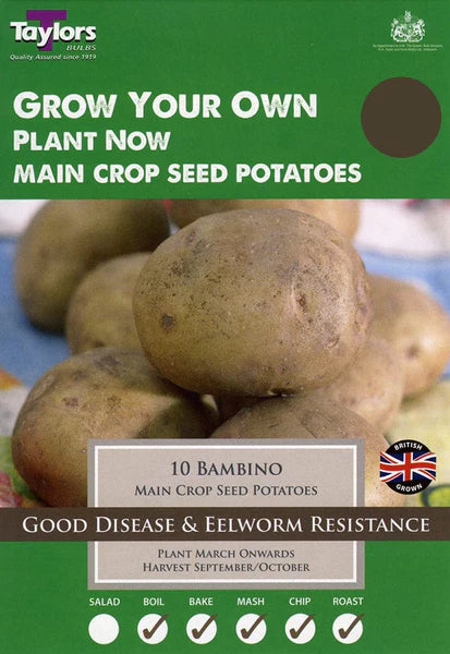 TASTER PACKS BAMBINO POTATOES