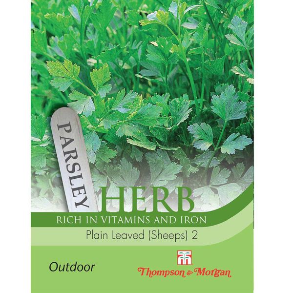 Parsley Plain Leaved (Sheeps) Herb Seeds