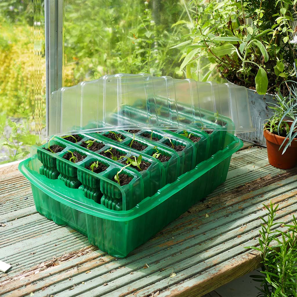 Gro-Sure Visiroot Twin Propagator Set | Cornwall Garden Shop | UK