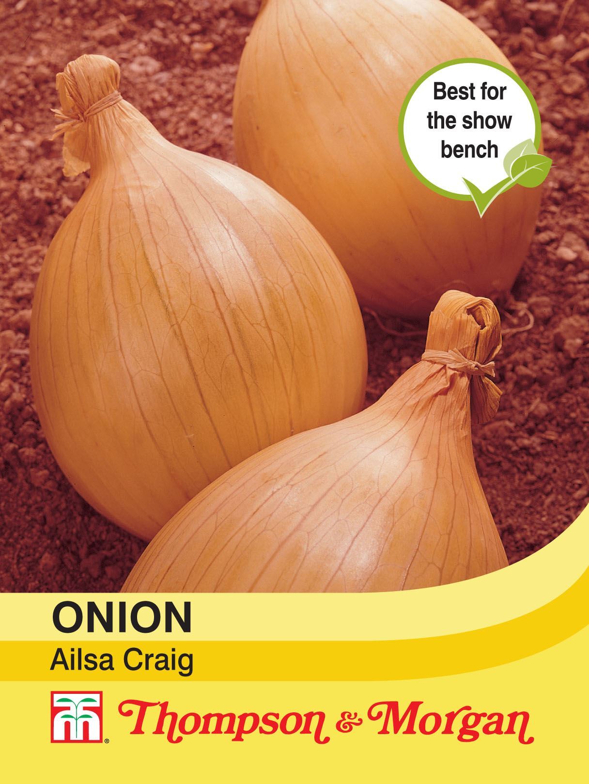 Onion Ailsa Craig Seeds