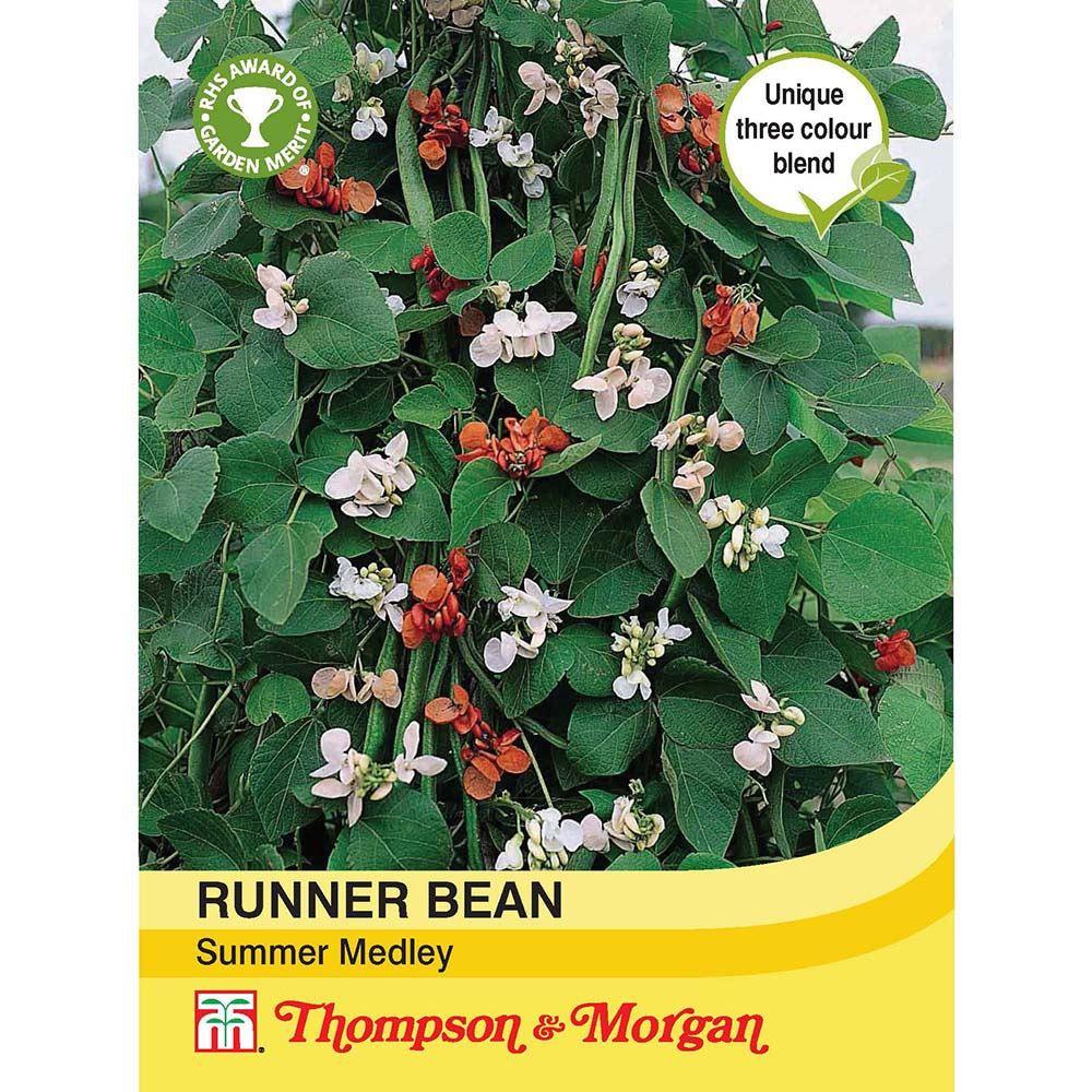Runner Bean Summer Medley Seeds