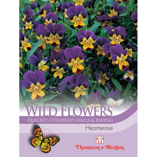 Wild Flower Heartsease Flower Seeds