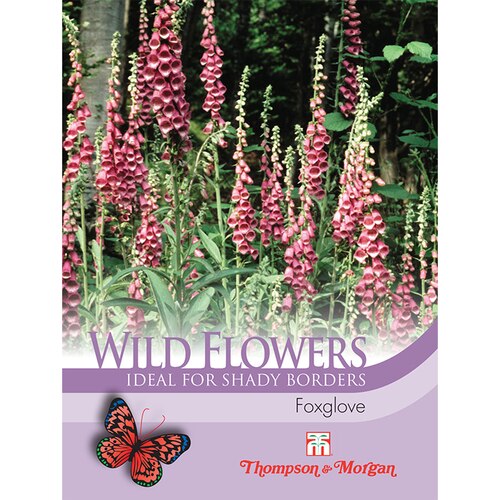 Wild Flower Foxglove Flower Seeds