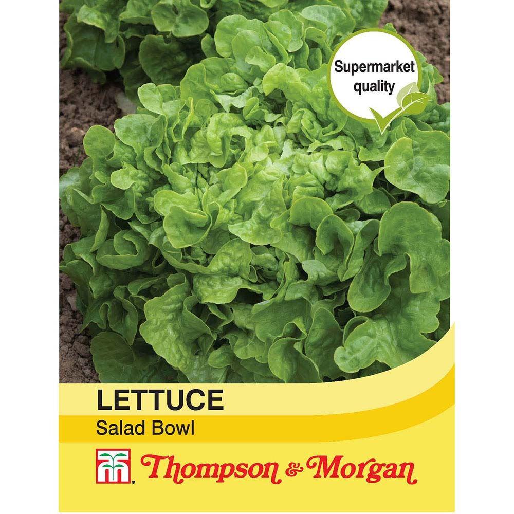 Lettuce Salad Bowl Seeds