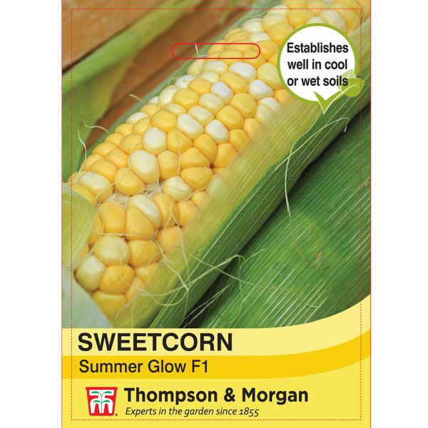 Sweetcorn Summer Glow Seeds