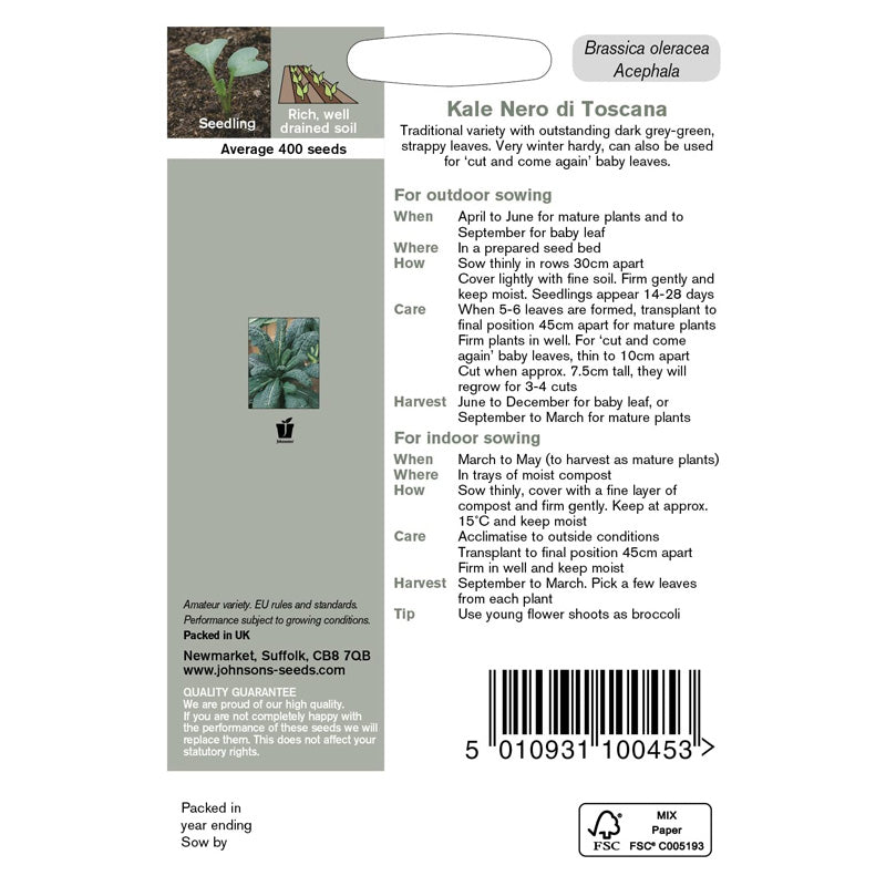 Kale Nero di Toscana Seeds