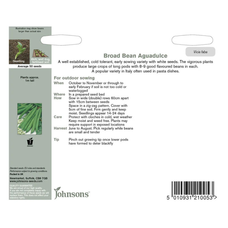 Broad Bean Aguadulce Seeds