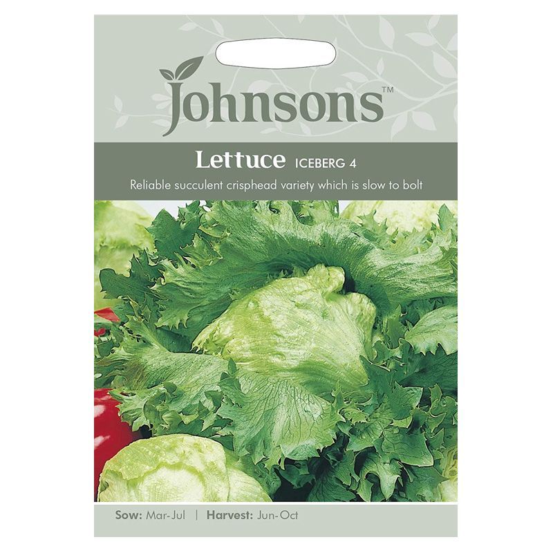 Lettuce Iceberg 4 Seeds