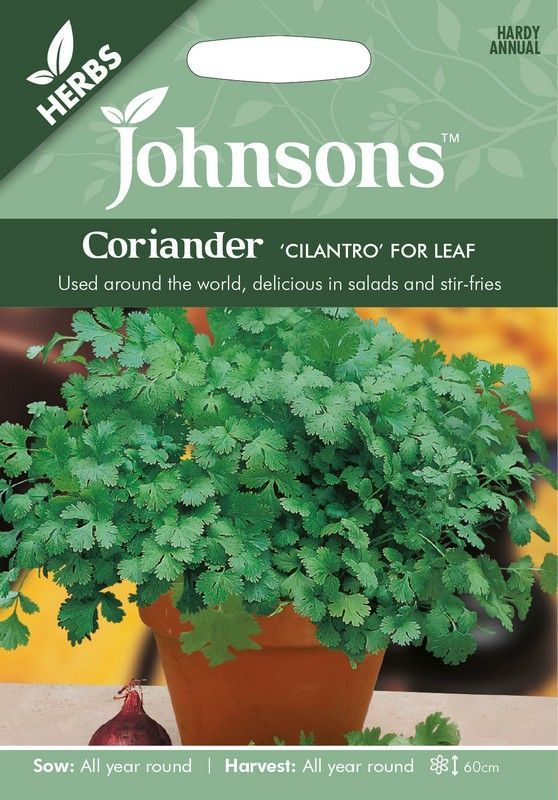 Coriander Cilantro for Leaf Herb Seeds