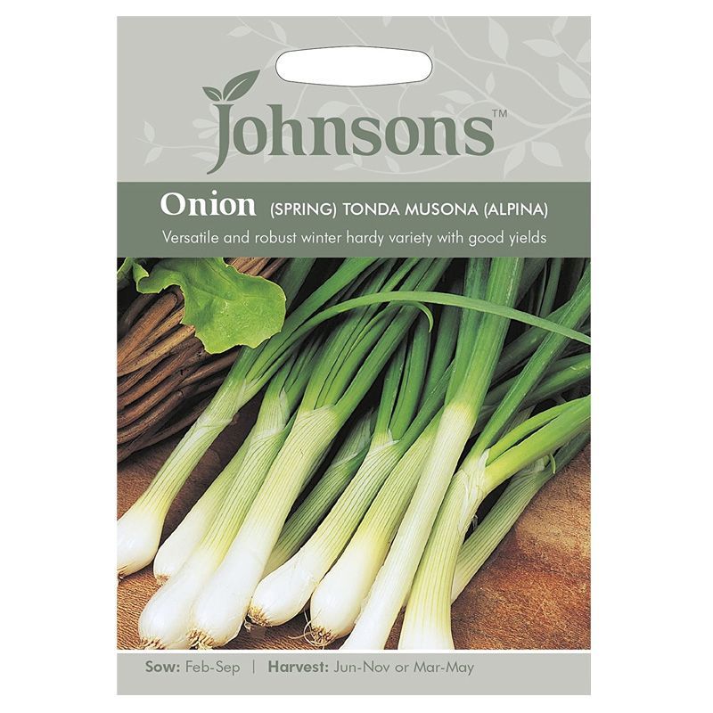 Onion (Spring) Tonda Musona (Alpina) Seeds