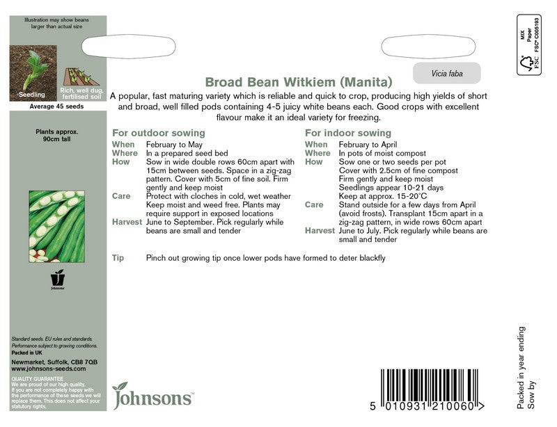 Broad Bean Witkiem (Manita) Seeds