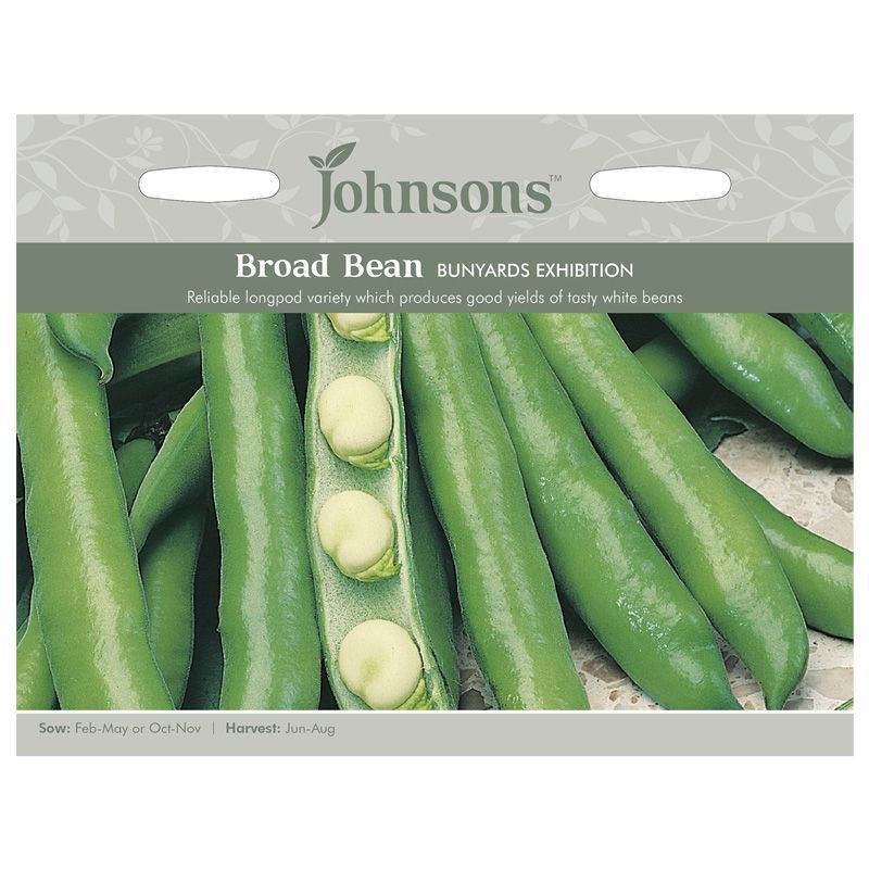 Broad Bean Bunyards Exhibition Seeds